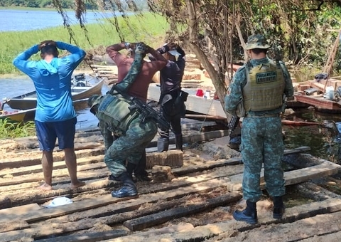 Homem é flagrado cortando árvores com motosserra e acaba preso no Amazonas