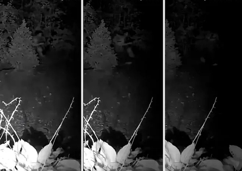 Brasileiro que fugiu de prisão nos EUA é visto em câmera de vigilância; veja vídeo