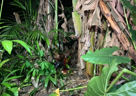 Corpo é encontrado apodrecendo em área de mata em Manaus