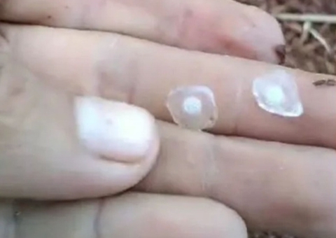 Chuva de granizo e ventania causam prejuízos no Amazonas