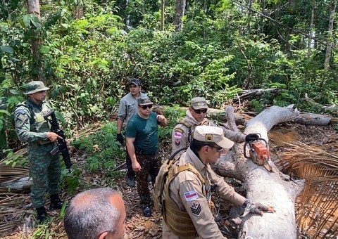 Mais de R$ 10 milhões em multas são aplicadas em ações contra crimes ambientais no Amazonas