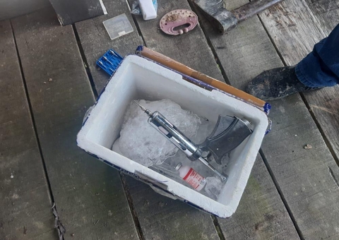 Notificação da vacinação contra a febre aftosa é prorrogada no Amazonas