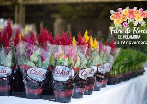 Feira de Flores de Holambra começa na próxima sexta-feira em Manaus