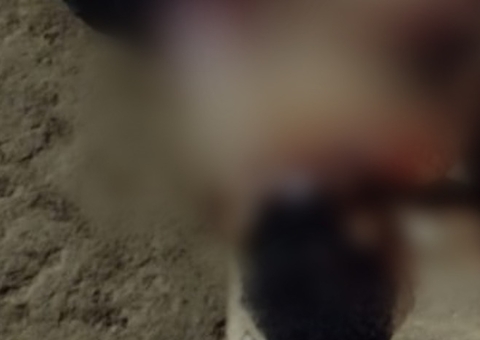 Jovem é assassinado com múltiplas facadas no interior do Amazonas