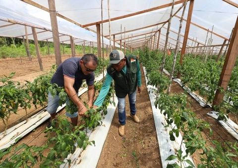 Idam alerta agricultores do Amazonas sobre data limite para declarar DITR
