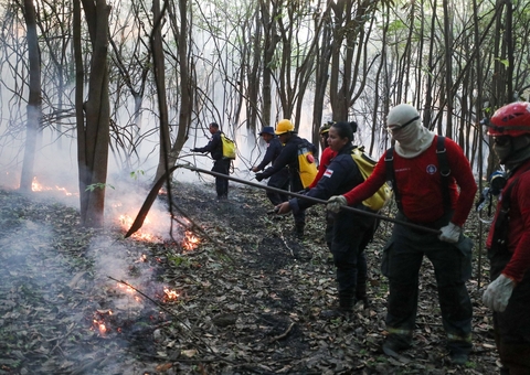 Incêndio de grandes proporções atinge área de mata no Iranduba