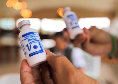 Adaf alerta sobre data limite para notificar vacinação contra febre aftosa no Amazonas