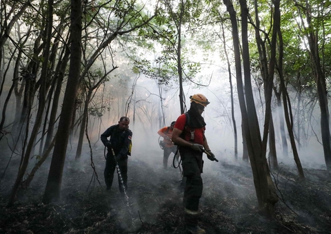 Brigadistas são contratados para reforçar combate às queimadas no Amazonas