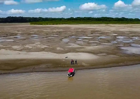 Queimadas e Seca na Amazônia: Um Grito de Alarme para o Mundo