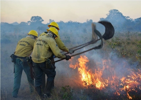 Ibama envia brigadistas para combater incêndios no Amazonas