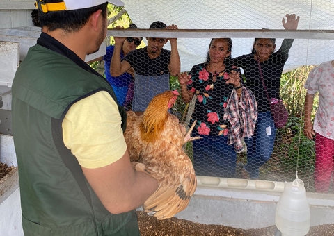 Idam orienta produtores sobre manejo de aves durante estiagem no Amazonas