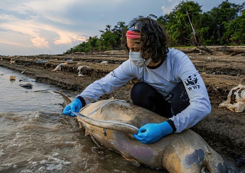 Mais duas carcaças são encontradas em lago onde botos apareceram mortos no Amazonas