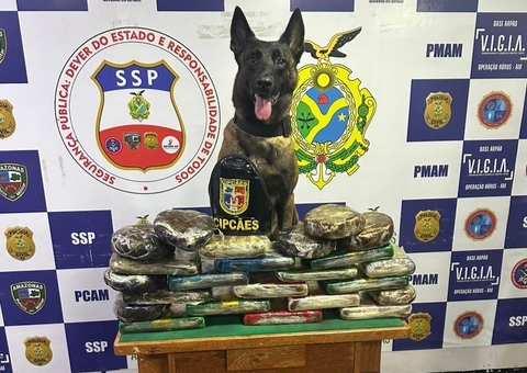 Cadela policial encontra 30 kg de cocaína escondidas em barco no Amazonas