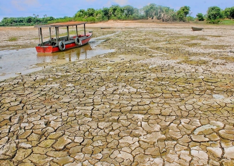 Amazonas está a menos de 80 centímetros de superar seca histórica de 2010