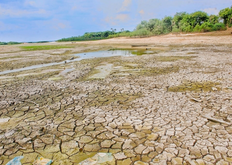 Governo Federal vai mapear situação da fauna durante seca dos rios no Amazonas