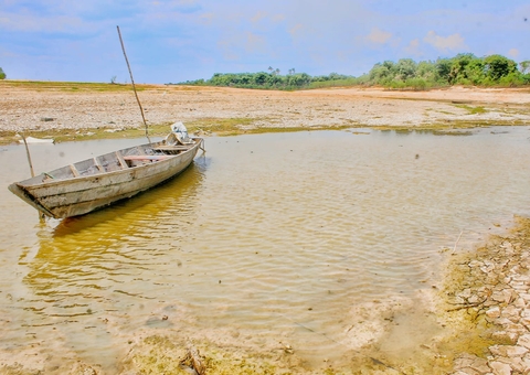 Com cenário mais crítico que do ano passado, seca no Amazonas em 2024 pode ser pior