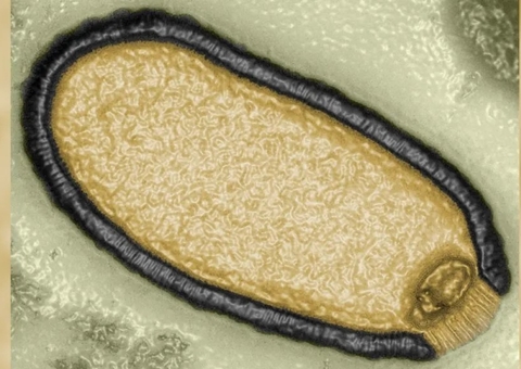 Mudanças climáticas podem acordar vírus "zumbis" após 50 mil anos