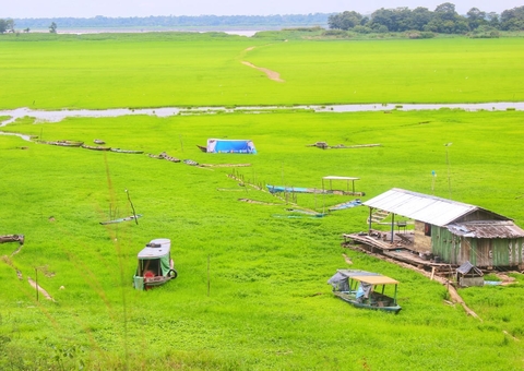 Amazonas tem 608 mil pessoas afetadas pela seca histórica