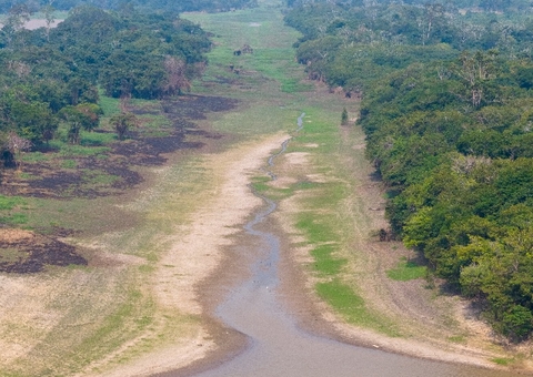Seca histórica atinge todos os municípios do Amazonas