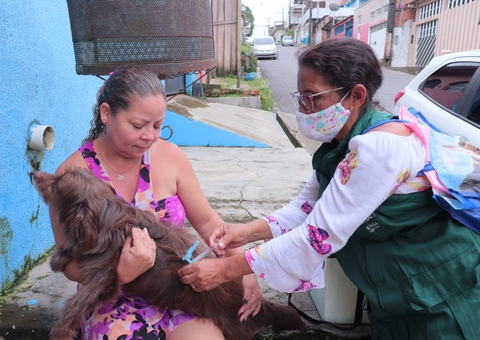 Saiba onde vacinar seu cão ou gato contra raiva no Amazonas