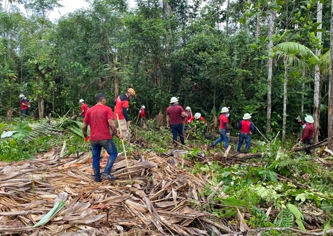 Novos brigadistas são formados para combater incêndios no Amazonas