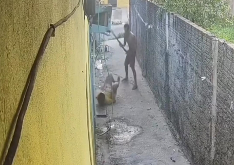 Homem que tentou estuprar mulher e a agrediu com pauladas é preso em Manaus