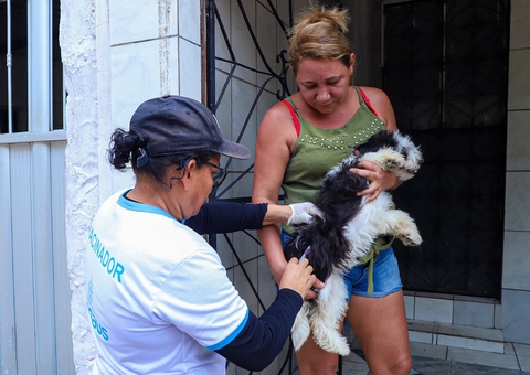 Vacinação antirrábica já alcançou mais de 156 mil animais em Manaus