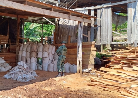 Homem é preso após vender madeira ilegalmente no Amazonas