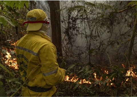 Em 2 semanas, focos de calor reduzem 78% no Amazonas, aponta Ibama