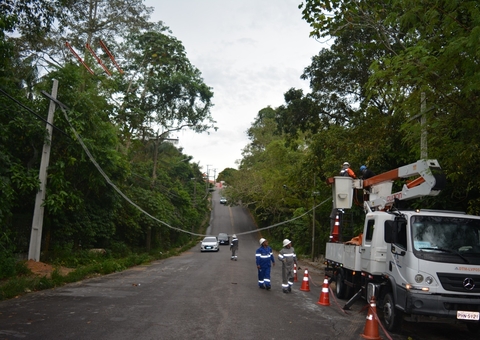 Passarelas para animais silvestres são instaladas em avenidas de Manaus