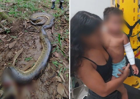 Menino de 2 anos é atacado por sucuri de 6 metros