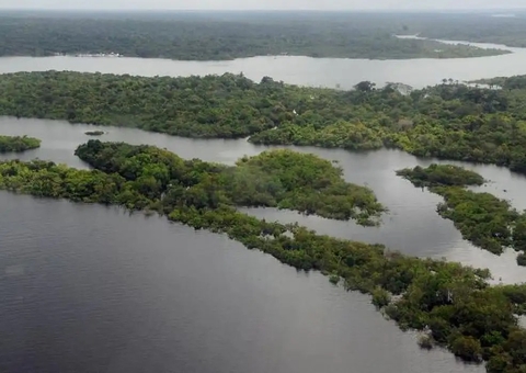 Projeto de lei vai facilitar regularização de terras na Amazônia