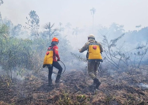 Amazonas registrou mais de 2 mil incêndios em quatro meses