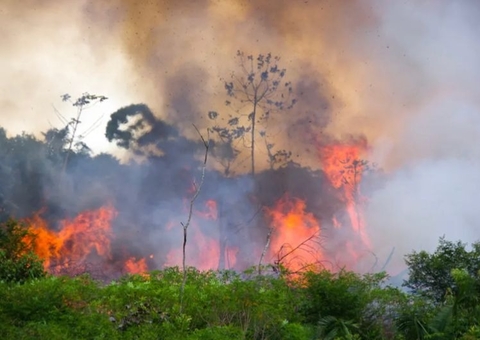 MP cobra do IPAAM dados de responsáveis por queimadas ilegais no Amazonas