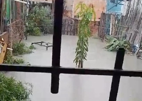 Chuva causa estragos e defesa civil registra 20 ocorrências em Manaus