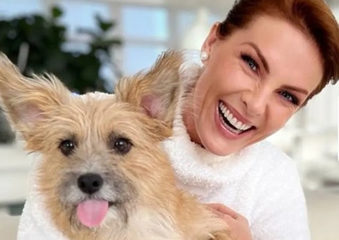 Ana Hickmann conta que seu cachorro a defendeu de agressão: 'voou pra cima dele'