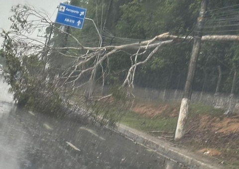 Defesa civil registra 8 ocorrências causadas por chuva forte nesta segunda em Manaus
