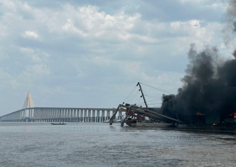 Deputado quer impedir destruição de bens apreendidos por crime ambiental no Amazonas