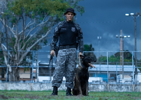 Confira como é o treinamento de cães policiais no Amazonas
