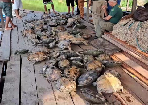Homem flagrado com 100 quelônios é multado em meio milhão de reais no Amazonas