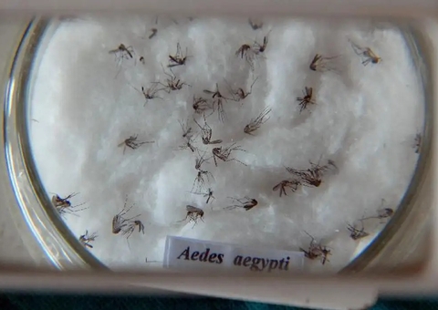 Casos de dengue crescem 15,8% em 2023 no Brasil