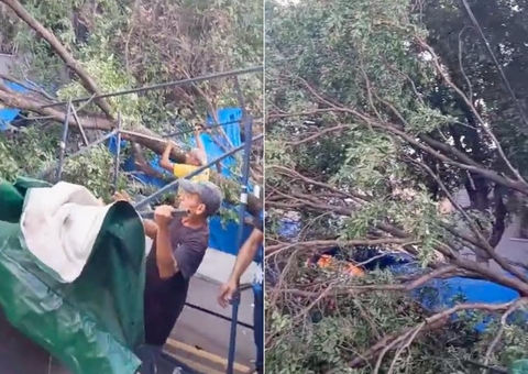 Árvore tomba e destrói barracas em feira de Manaus; vídeo