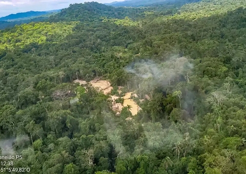 Comissão do Senado aprova porte de arma a agentes da Funai