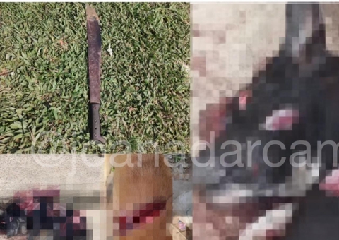 Cachorro é esquartejado e outro é ferido com golpes de terçado em Japurá