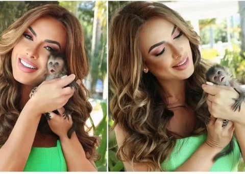 PF prende criminosos por tráfico de animais silvestres após apreensão de macacos de Nicole Bahls