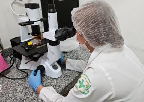 Estudo no Amazonas analisa bioativos naturais no tratamento do câncer