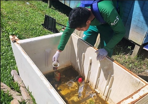 Amazonas apresenta médio risco para circulação de Aedes aegypti, aponta levantamento