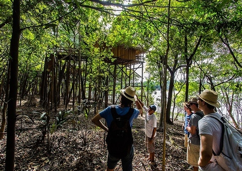 3 Bilhões e o Impacto Potencial no Turismo Amazônico