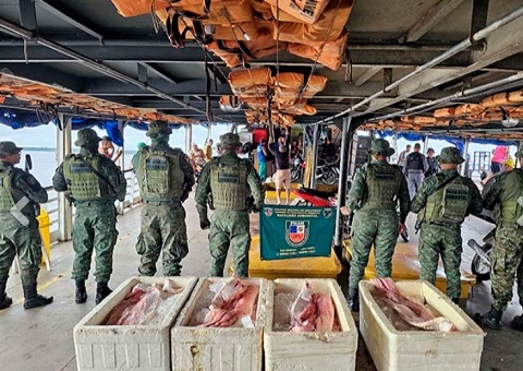 Pescado avaliado em quase R$ 10 mil é apreendido no Porto de Manaus