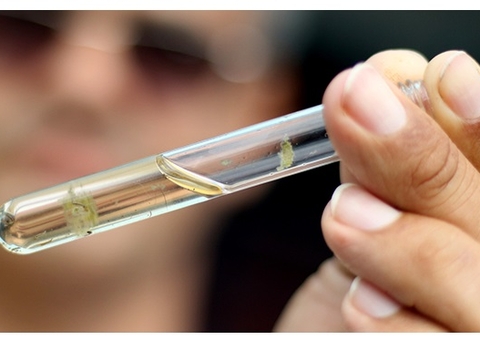 Ivermectina é ineficaz contra dengue, alerta Ministério da Saúde